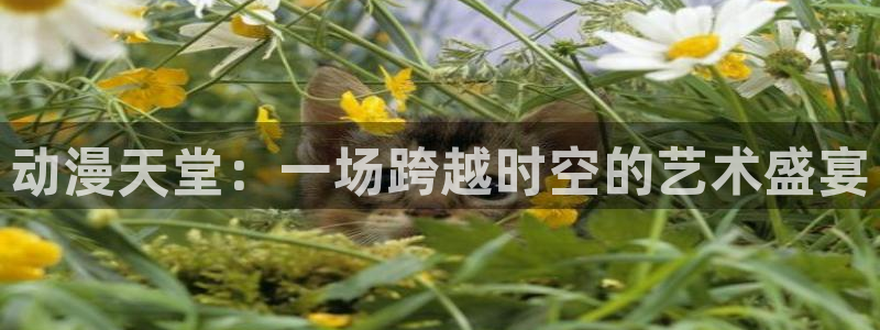 成人动漫天堂av：动漫天堂：一场跨越时空的艺术盛宴