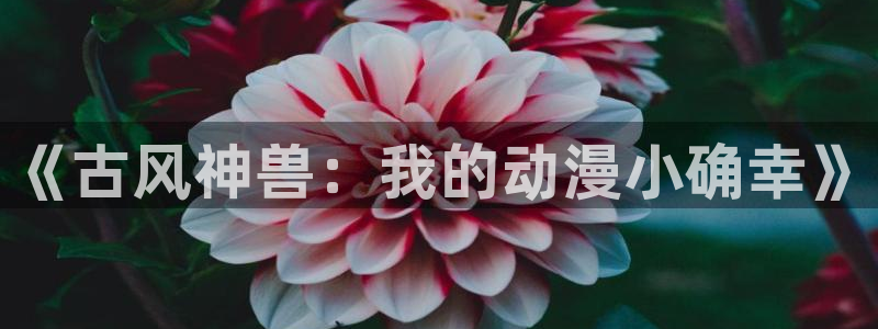 动漫天堂app：《古风神兽：我的动漫小确幸》