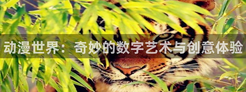 h动漫天堂：动漫世界：奇妙的数字艺术与创意体验
