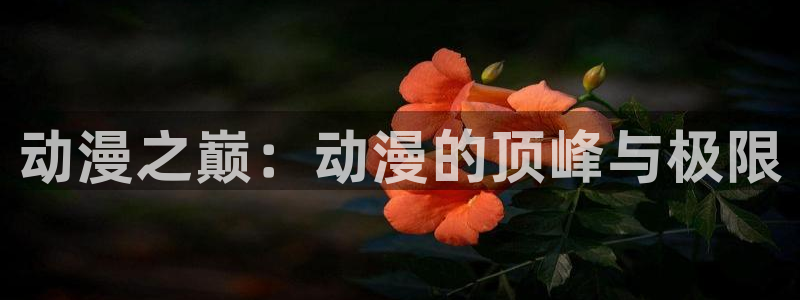 18动漫天堂：动漫之巅：动漫的顶峰与极限