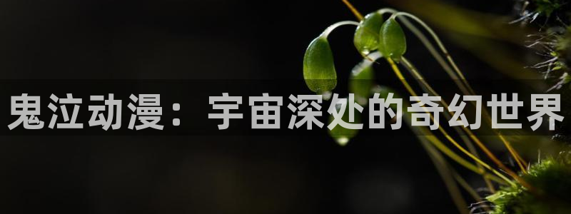 学园天堂动漫完整版：鬼泣动漫：宇宙深处的奇幻世界