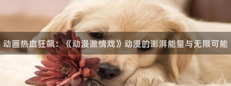 动漫天堂公告：动画热血狂飙：《动漫激情戏》动漫的澎湃能量与无限可能